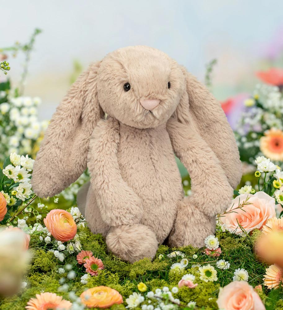 Why are Jellycat Soft Toys so incredibly popular?