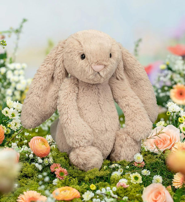 Why are Jellycat Soft Toys becoming so incredibly popular?