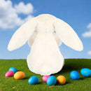 Bashful Bunny with Present