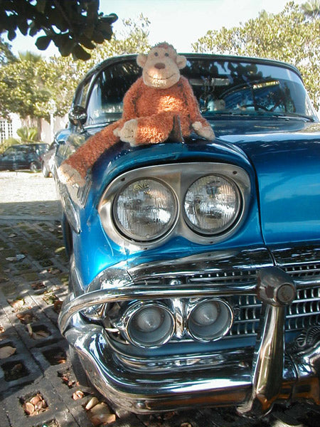 Jellycat Junglie Monkey sitting on a 57 Chevrolet