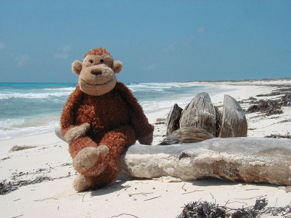 Jellycat Junglie Monkey on Holiday in Cuba