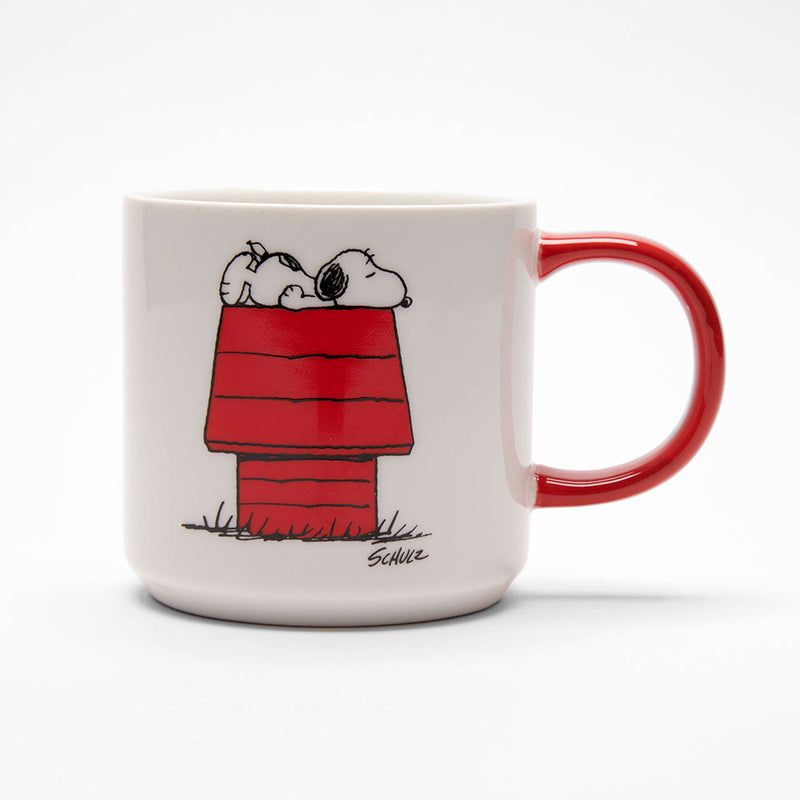 Peanuts Allergic To Morning Mug showing Snoopy asleep on top of his kennel