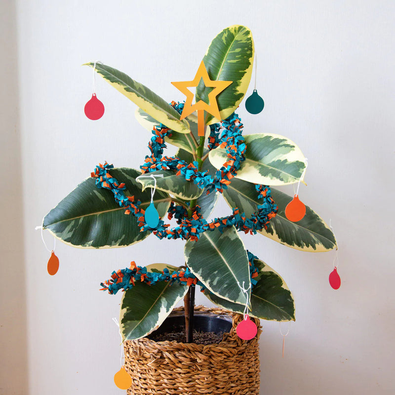 pot plant decorated with plastic free Christmas decorations