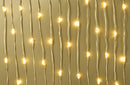 Gold Wire Led Lights  3M