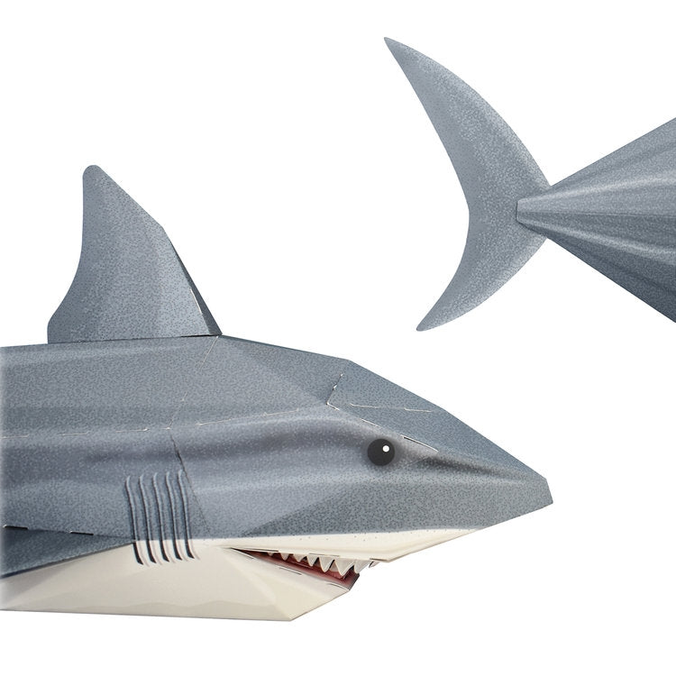 Snappy Shark Model