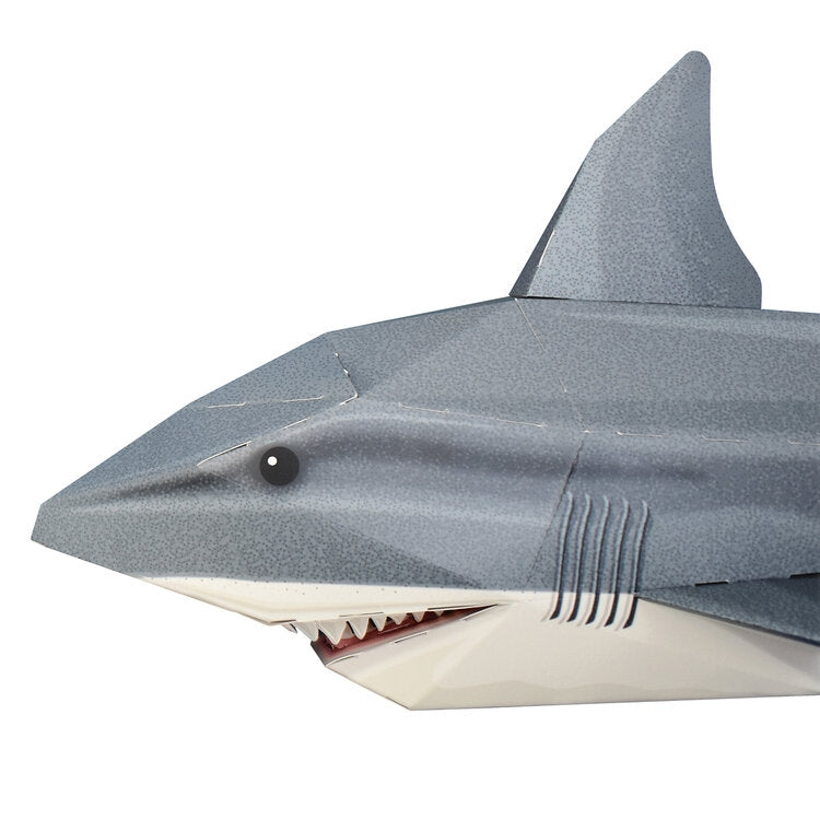Snappy Shark Model