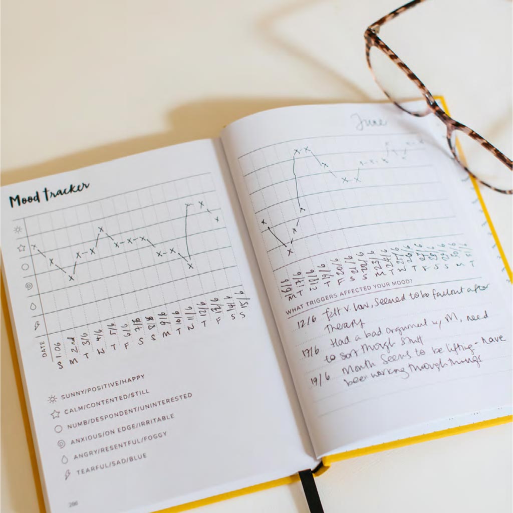 Positive Planner Example Buy The Original Positive Planner Online at Bonkers UK